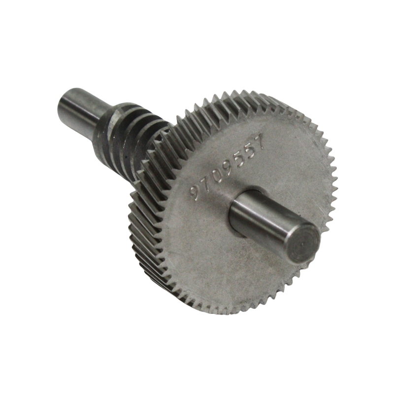 Piñon sin fin - Imagen 2